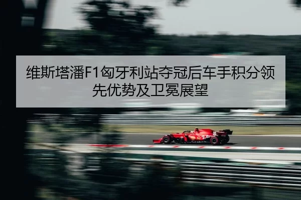 wei-si-ta-pan-xiong-ya-li-zhan-duo-guan-hou-che-shou-ji-fen-ling-xian-you-shi-ji-wei-mian-zhan-wang-3-548.jpg